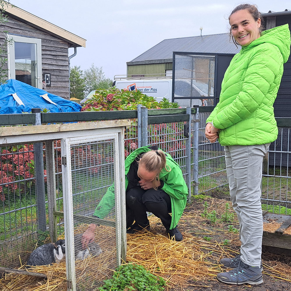 Drie vrouwen, twee in groene jassen en één in een blauwe jas, kijken naar een konijn.